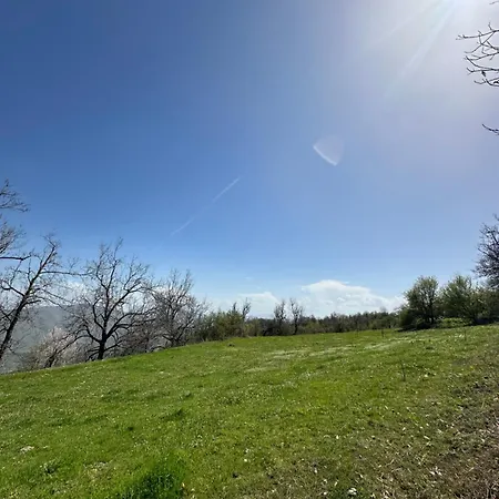 Site Kerrnaje Polisi i Vogel